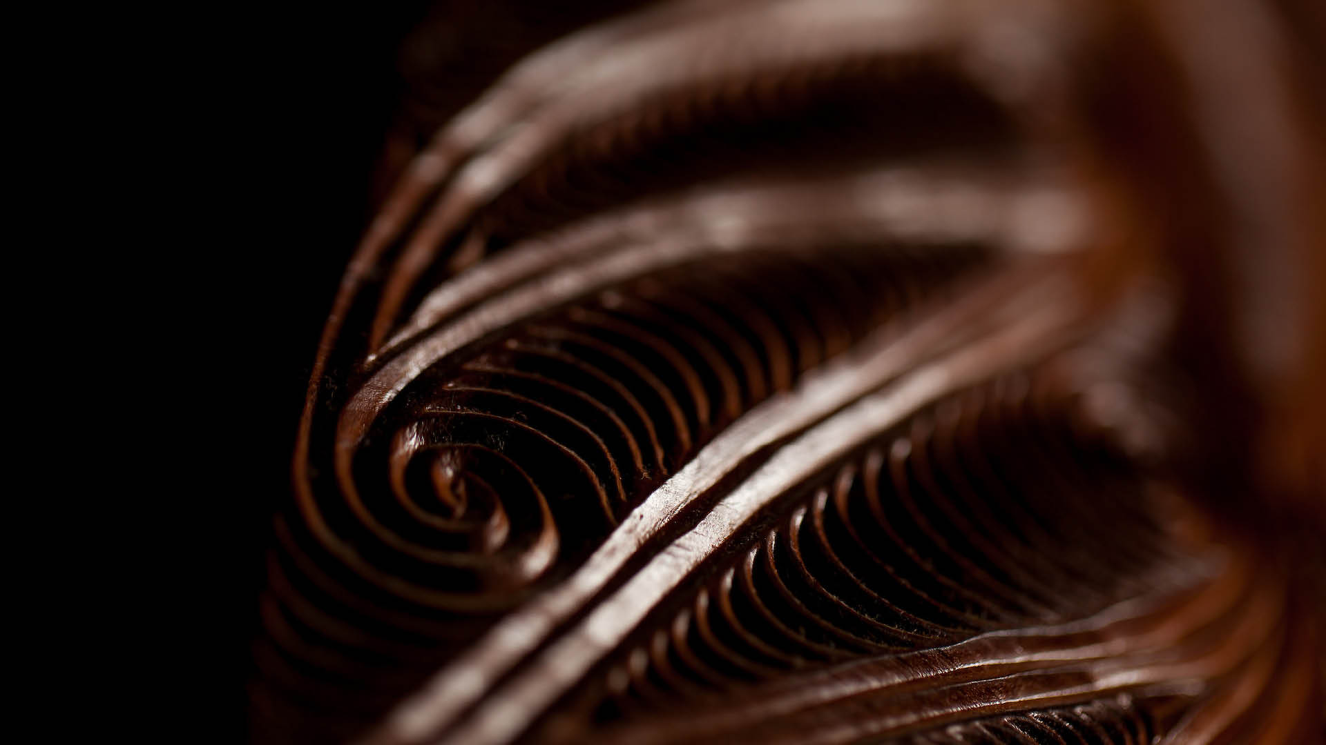 Te Wānanga o AotearoaTe Tirohanga Māori Connect to the rich cultural heritage. Close up of carving patterns